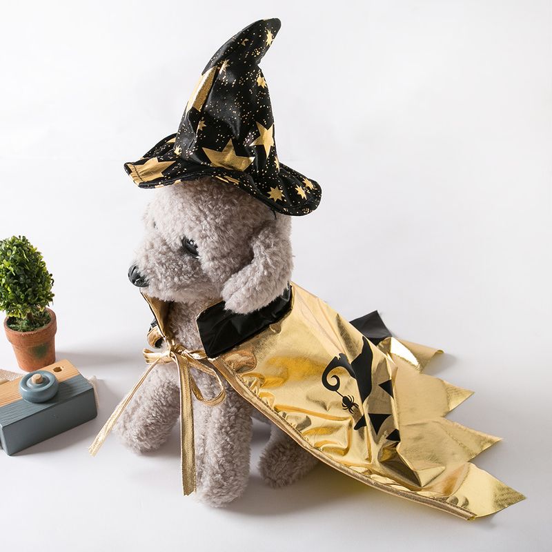 Nieuwe Halloween Heks Kat Tovenaar Huisdier Cape Kostuum Transformatie Outfit_voghion.com