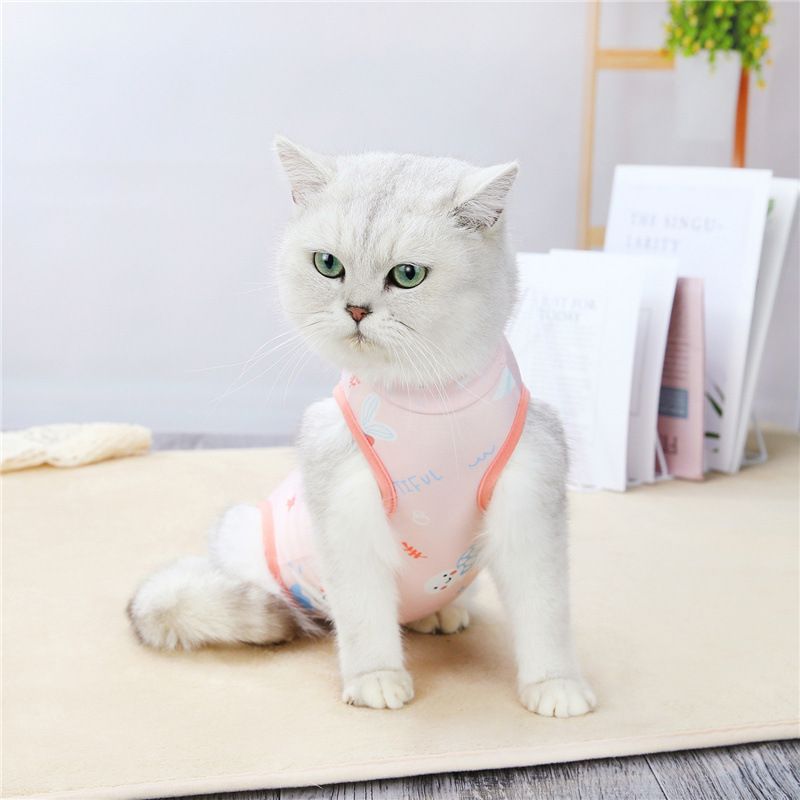 Combinaison de stérilisation respirante pour chats, combinaison de sevrage pour chattes, vêtements fins et doux, anti-léchage, post-opératoires, pour chatons_voghion.com