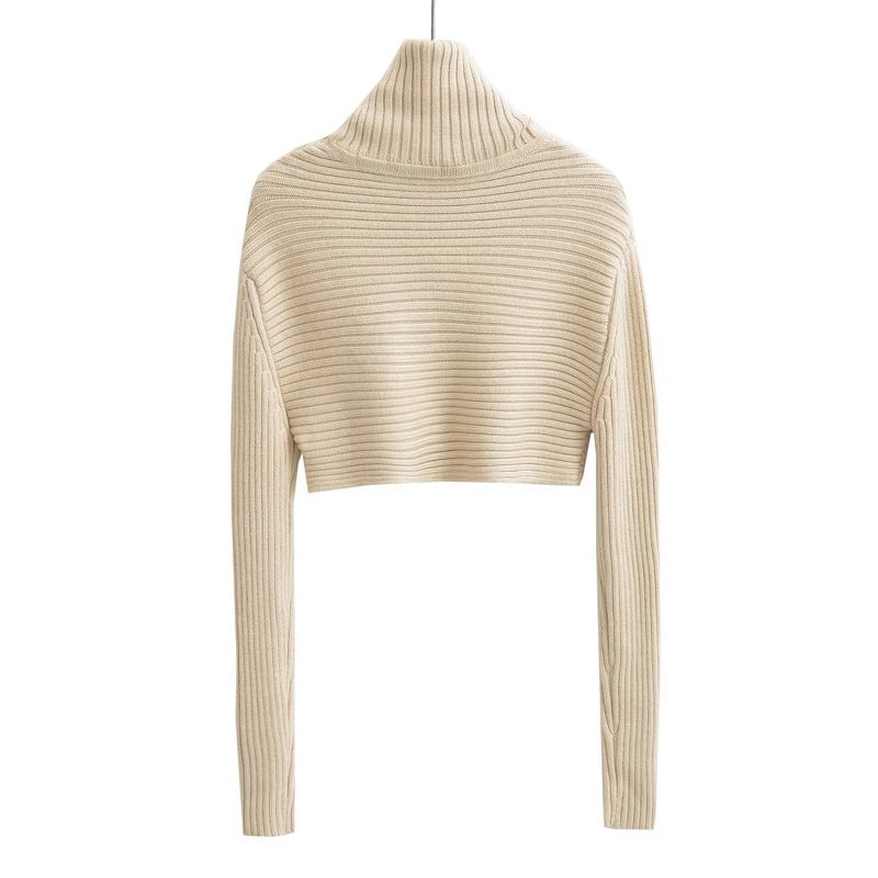 New Style Cool Spicy High Neck Short Thick Sweater Ribbed Slimming Knitted Top For Women_voghion.com