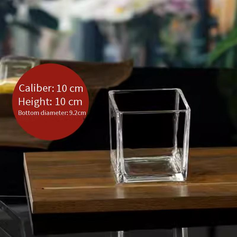Home Decor Simple Hydroponic Vase Transparent Square Tank Water Growing Lily Tulip Daffodil White Palm Vessel Living Room Small Flower Pot_voghion.com