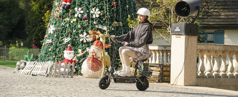 iScooter F3 električni skuter sa sjedalom i stražnjom košarom, 1000 W motor, 48 V 13 Ah baterija, 10 inčna pneumatska guma, 45 km/h maks. brzina, 60 km domet_voghion.com