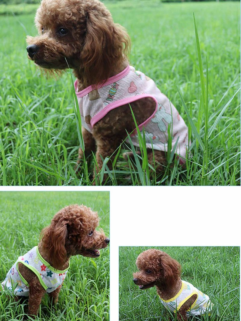 1 Piece Of New Pet Apparel For Spring & Summer - Mesh, Breathable & Comfortable Sports Casual Vest, Sun-Protective Clothes For Dogs & Cats_voghion.com