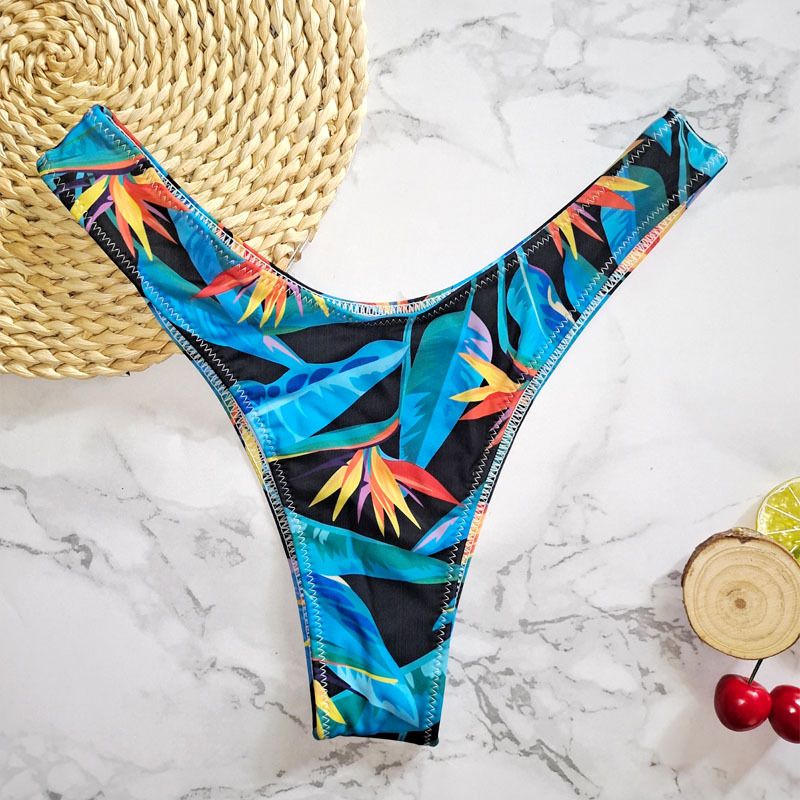 New Printed Women's Sexy Two-Piece Bikini Brazilian Hot Spring V-String Swim Bottoms_voghion.com