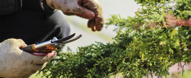 ROCKBROS Rękawy Antypoślizgowe ocieplacze na ręce do jazdy na rowerze Zimowe rękawy do jazdy na rowerze MTB_voghion.com