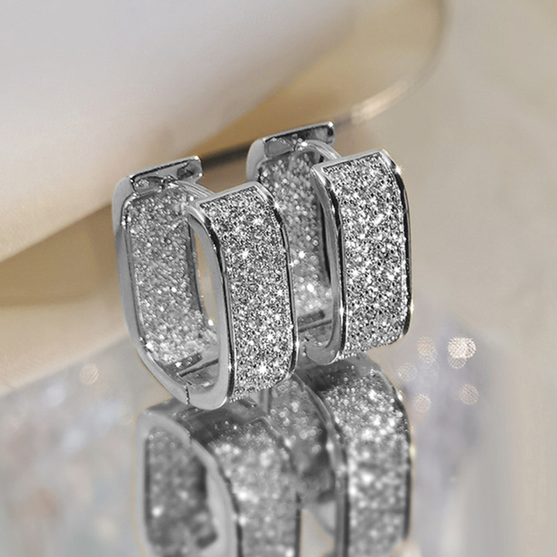 Light Micro Inlaid Zircon Young Ladies Fashion Earrings Jewelry_voghion.com