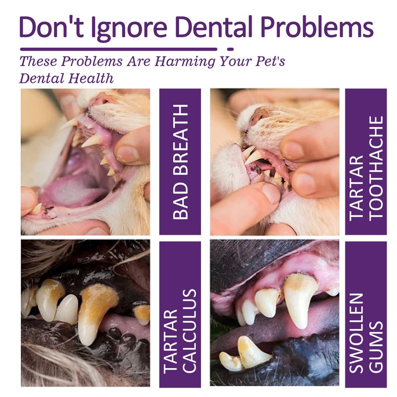 Dentifricio per animali domestici rinfrescante per l'alito fresco di alta qualità, nuovo arrivo_voghion.com