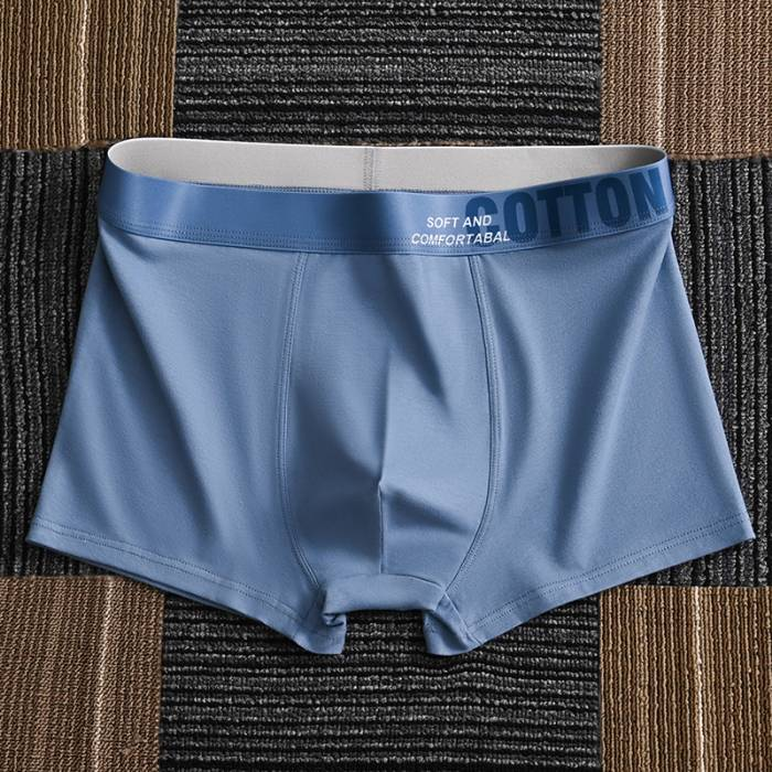 4 bucăți boxer pentru bărbați de înaltă calitate de vară L-5XL_voghion.com