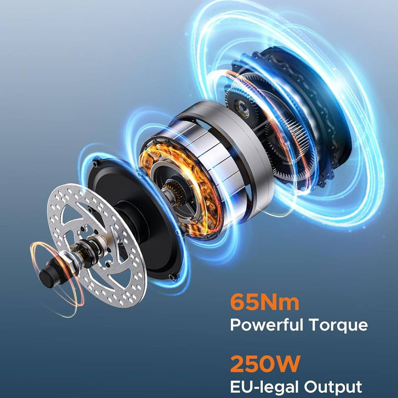 ENGWE M1 Dirt Bike elettrica da 20 pollici con batteria da 48 V15,6 Ah, mountain bike a sospensione completa da 250 W_voghion.com