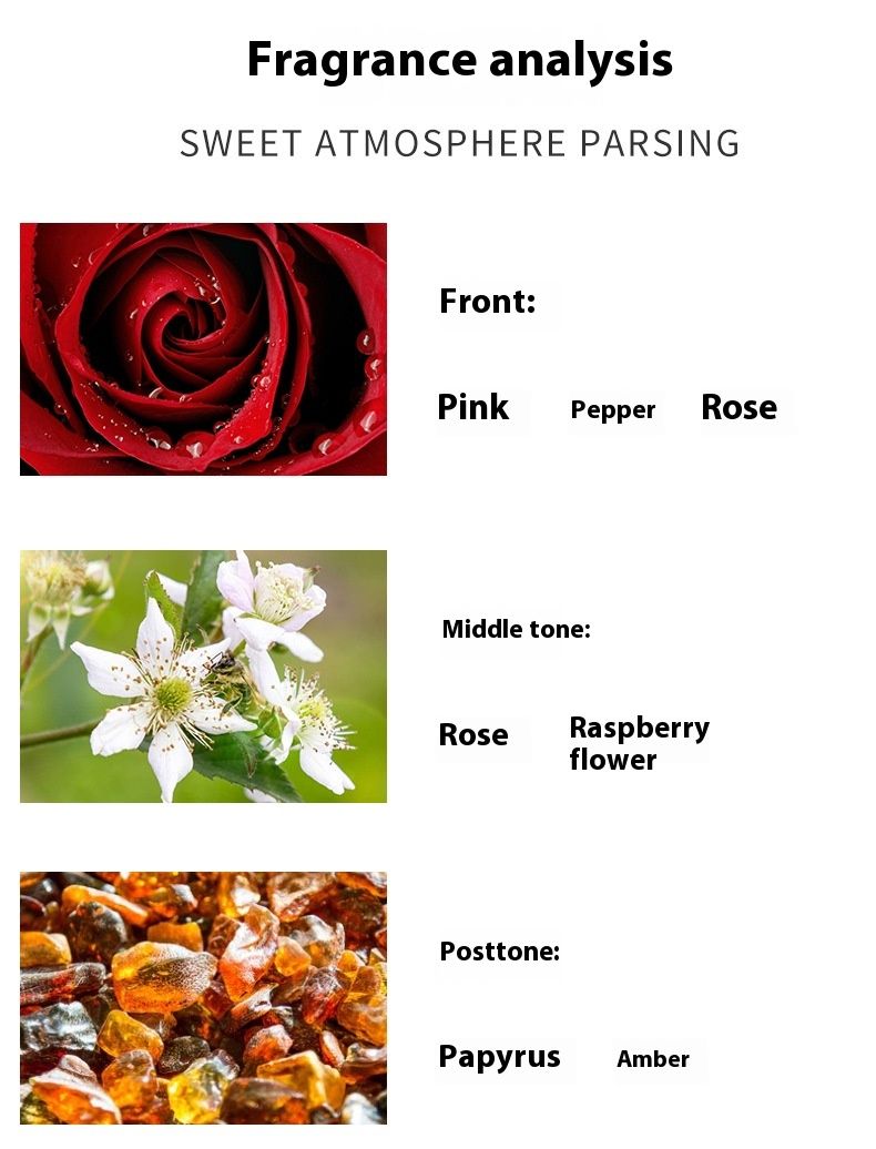 2024 New Hot Perfume Popular in No Man's Land Rose Perfume Brand Women's Perfume 50ml Gift Box Lasting Fragrance_voghion.com