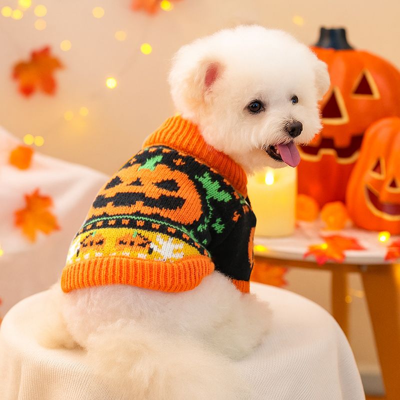 2025 Autumn Winter Pet Dog Cat Clothes Costume Apparel Pumpkin Halloween Sweater_voghion.com