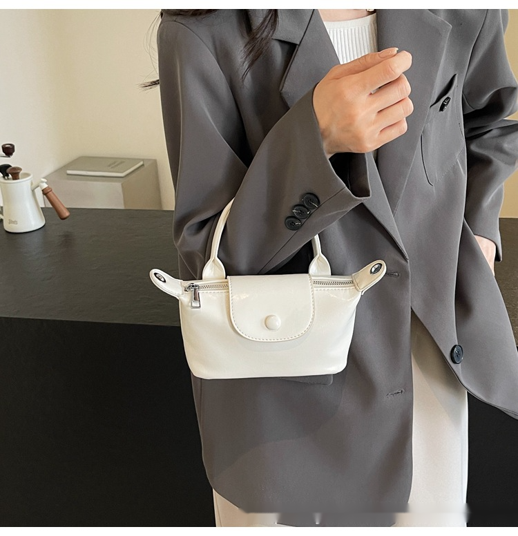 This Year's Popular Small Bags For Women In Spring New Crossbody Bags High-end Hand-held Shoulder Bags Versatile Dumpling Bags_voghion.com