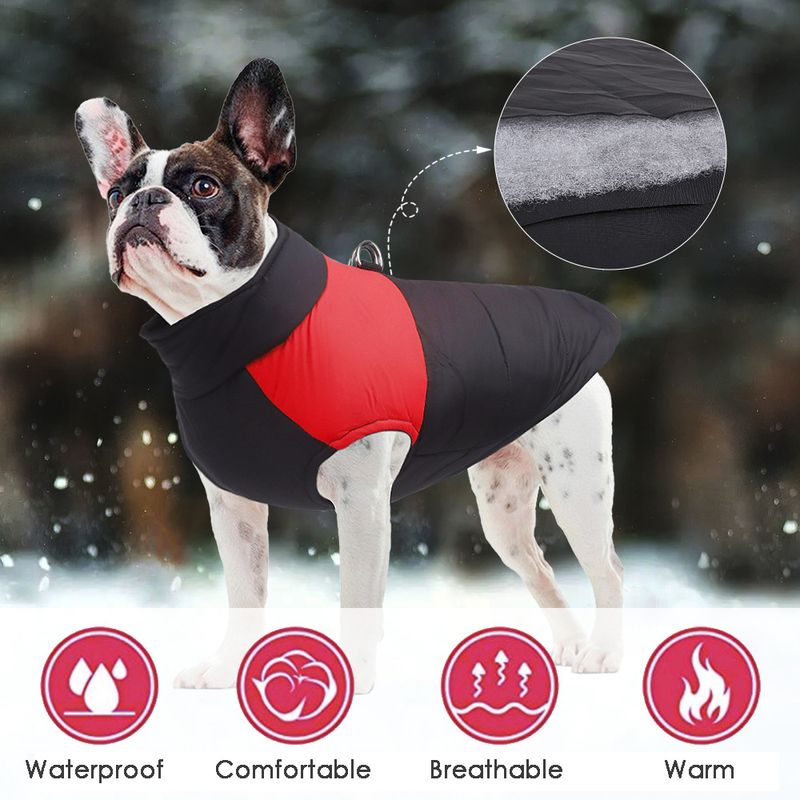 Giacca invernale calda e impermeabile per cani di piccola, media e grande taglia, abbigliamento per Chihuahua, gilet per Labrador, Bulldog francese di PawParty Store_voghion.com