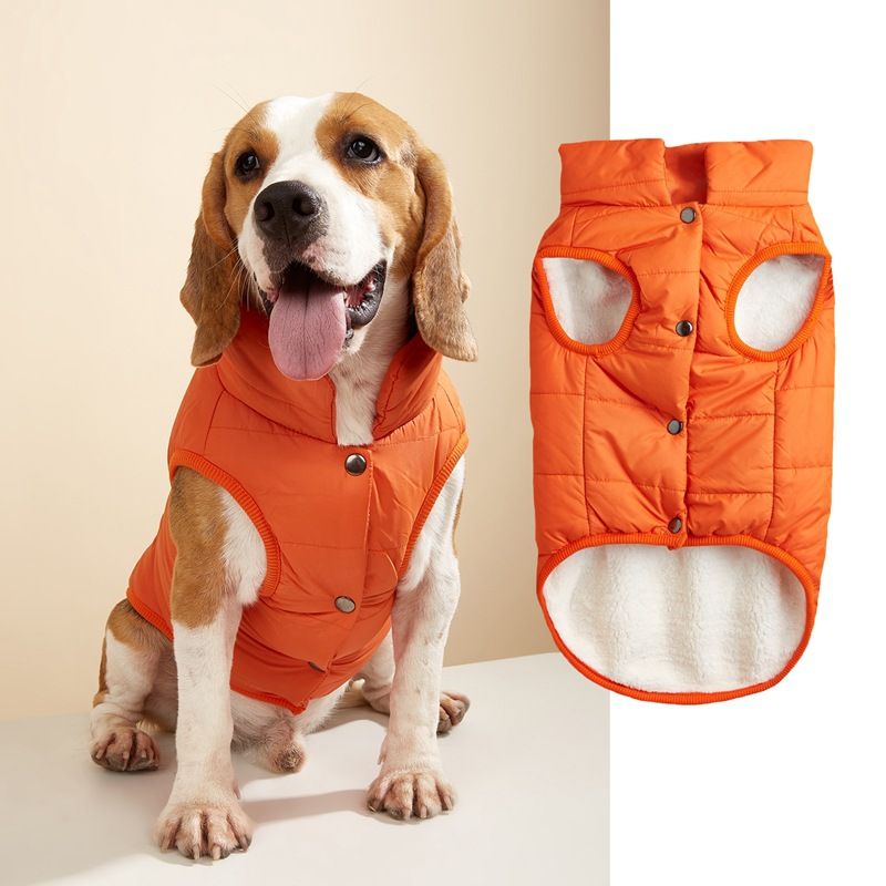 Haustierkleidung Herbst Winter Neue Baumwolle Einfarbig Knopf Warm Kleine Mittelgroße Hunde Golden Retriever Bichon Jacke Weste_voghion.com