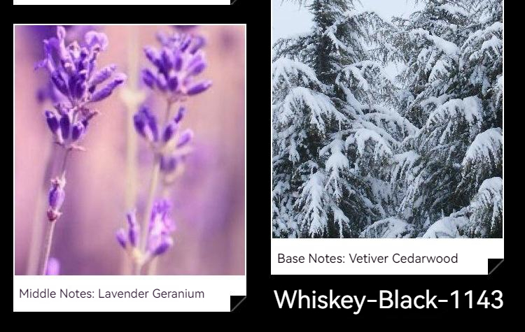 Intelligentes schwarzes Parfüm, blaues Whisky-Parfüm, frisches und anhaltendes Eau de Toilette, Herrenparfüm mit Holzgeschmack_voghion.com