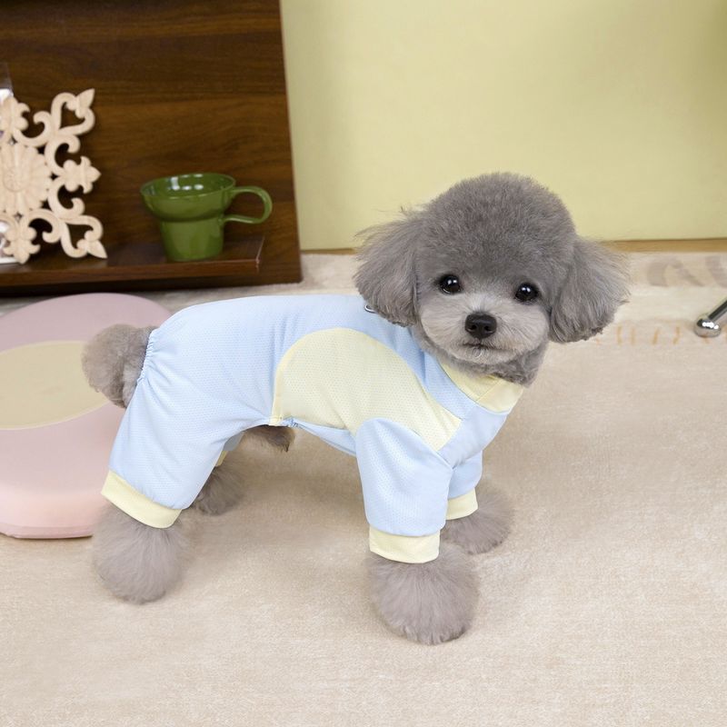 Spri ve Yaz Buz İpek Hafif File Dört Ayaklı Yelek Açık Renkli Açık Hava Cooli Nefes Alabilir Küçük Köpek Evcil Hayvan_voghion.com