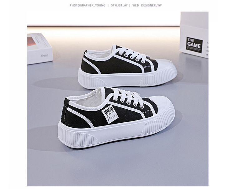 Canvas für Damen Frühling Sommer Herbst Trendy Sneakers Korean Style Vielseitig 2025 Neue weiße Schuhe 133_voghion.com