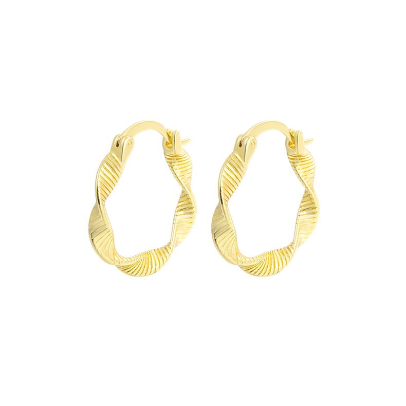 Damessieraden Eenvoudige Mode Draad Gedraaide Oorbellen Overdreven Persoonlijkheid Trend Ins High End Sense Net Rood Alle Match Ooraccessoires_voghion.com