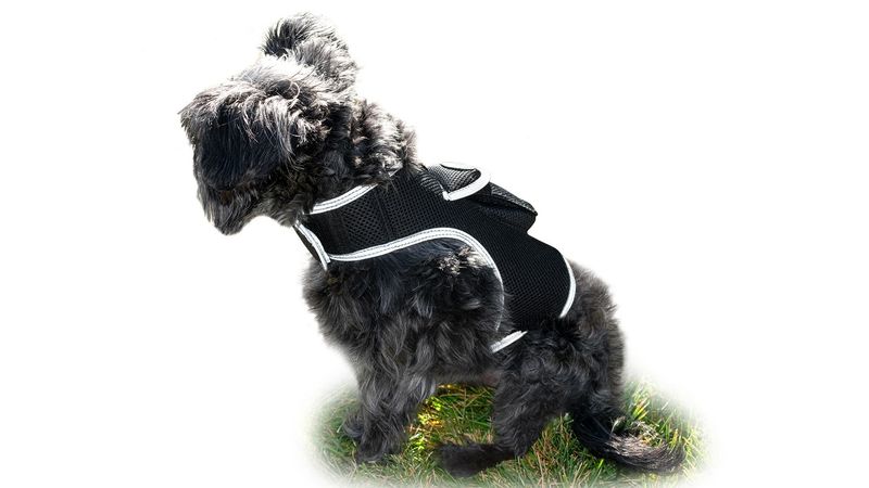 Waterproof GPS Tracker Dog Cat Rechargeable Locator with Battery Alert Size:XS_voghion.com