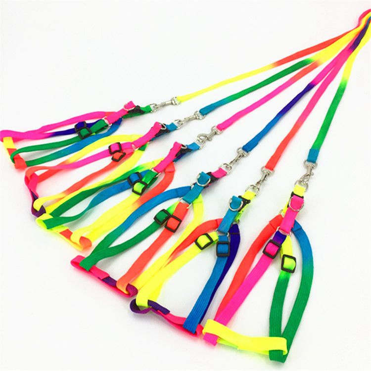Pet Special Offer Leash Golden Retriever Colorful Chest Harness Dog Supplies_voghion.com
