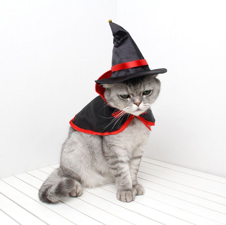 Costume di Halloween Mantello magico Gatto Cane Animale domestico Trasformazione Vestiti_voghion.com