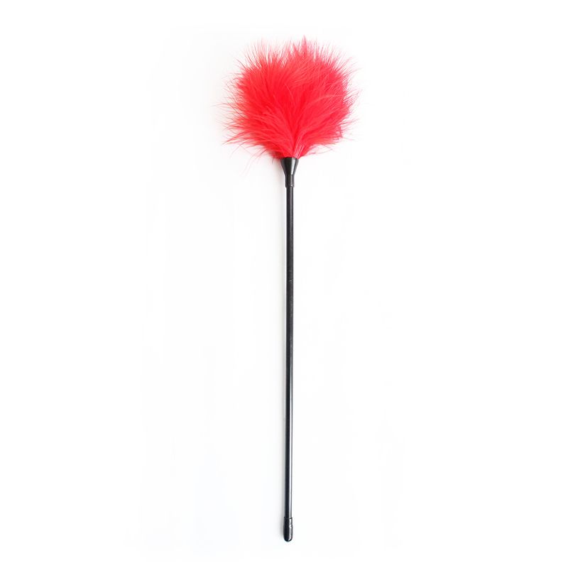 Prodotti sessuali per coppie, flirt, tromba, piuma, bastone per stuzzicare, accessori per l'allenamento femminile_voghion.com