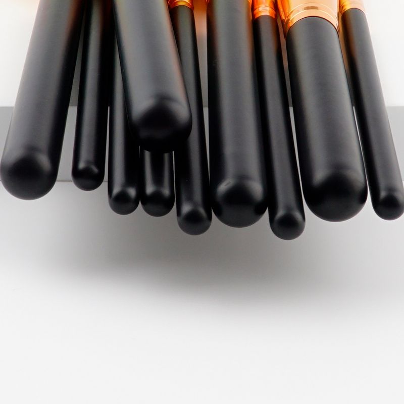 10 pcs makeup brushes makeup tools set large fan brush wooden handle (7 colors in total GUJHUI_voghion.com