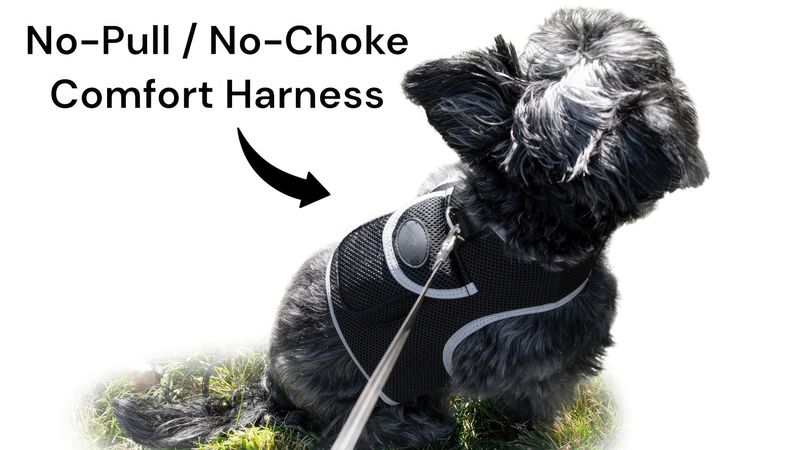 Mini GSM GPS Tracker Waterproof Rechargeable Tracking device for Pets Size:XXL_voghion.com