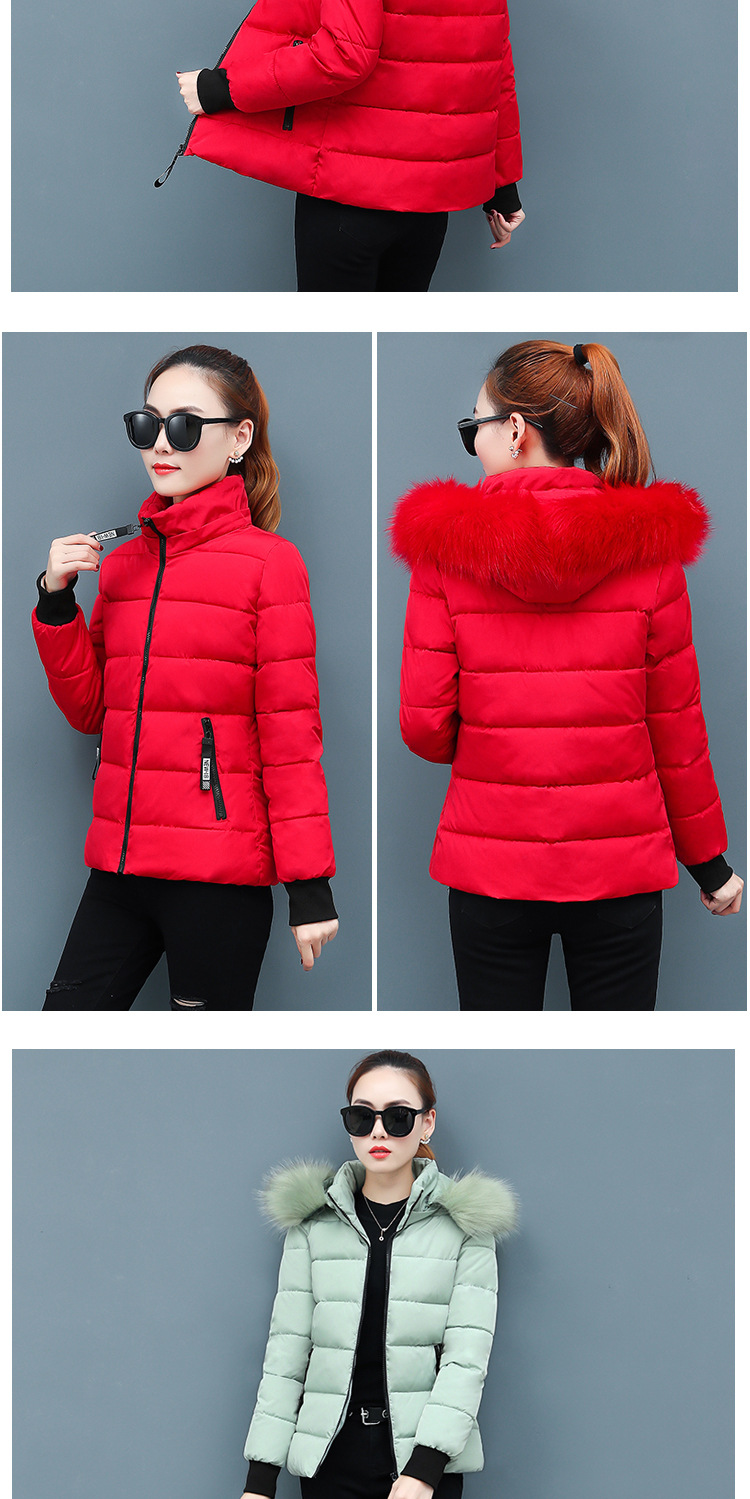 Kadın giyim kısa pamuklu ceket kadın ceketi pamuklu ceket slim fit kalınlaşmış büyük kürk yakalı küçük kişi pamuklu ceket_voghion.com