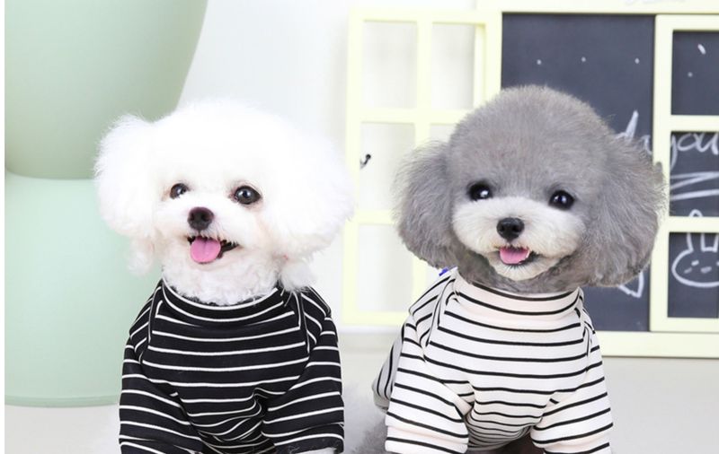 Roupas novas para animais de estimação, outono e inverno, para cães e gatos, moletom de duas pernas, suéter de lã, moletom com capuz de coelho 22_voghion.com