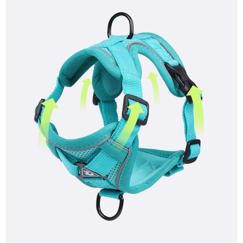 Guinzaglio per cani e gatti traspirante e riflettente per passeggiate in stile gilet_voghion.com