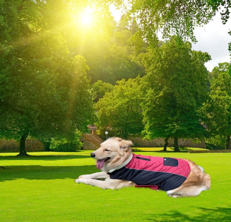 Pocket new pet clothes autumn and winter dog clothes vest cotton coat double sided wearable dog clothes coat clothing_voghion.com