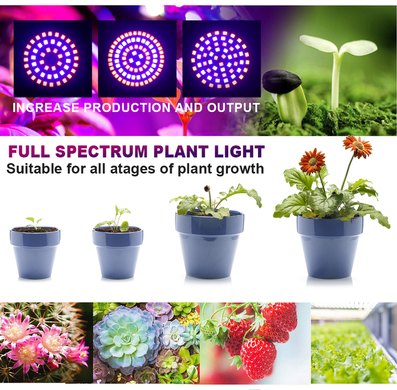 Led Grow Bulb E27 E14 MR16 GU10 Full Spectrum LED Plant Hydroponic Growth Light Phyto Lamp Inomhusbelysning Blomsterplanta_voghion.com