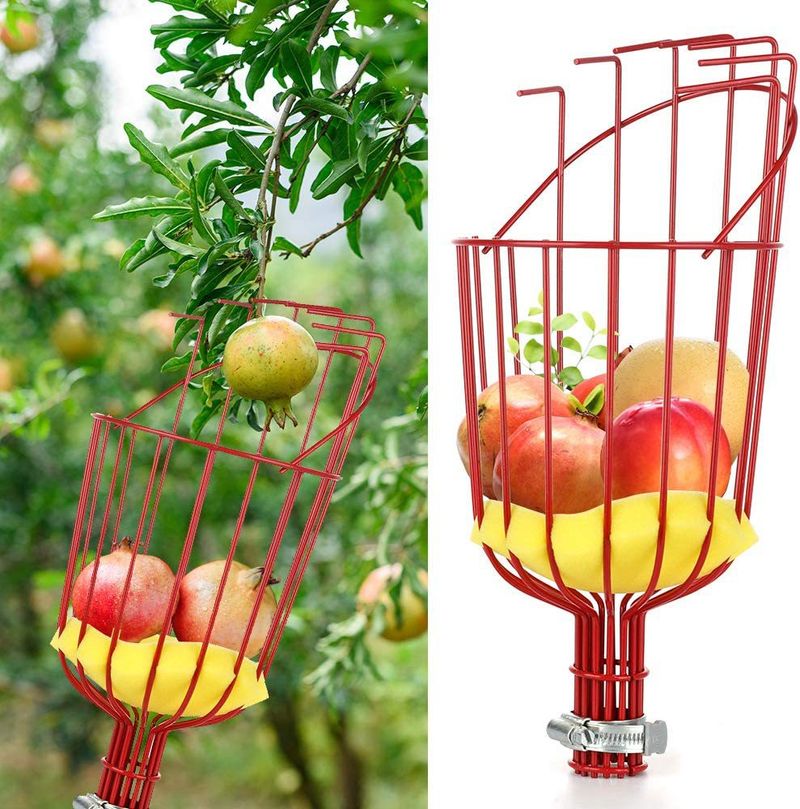 Garden Supplies Fruit Picking Device Fruit Picking Tool Telescopic Pole For Picking Apples And Plums High Altitude Picking Device Garden Fruit Picking_voghion.com