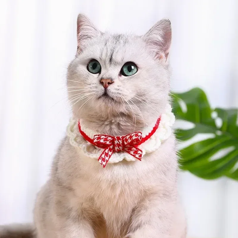 Knitted Collar For Kitten, Cat, Puppy By PawParty Store_voghion.com
