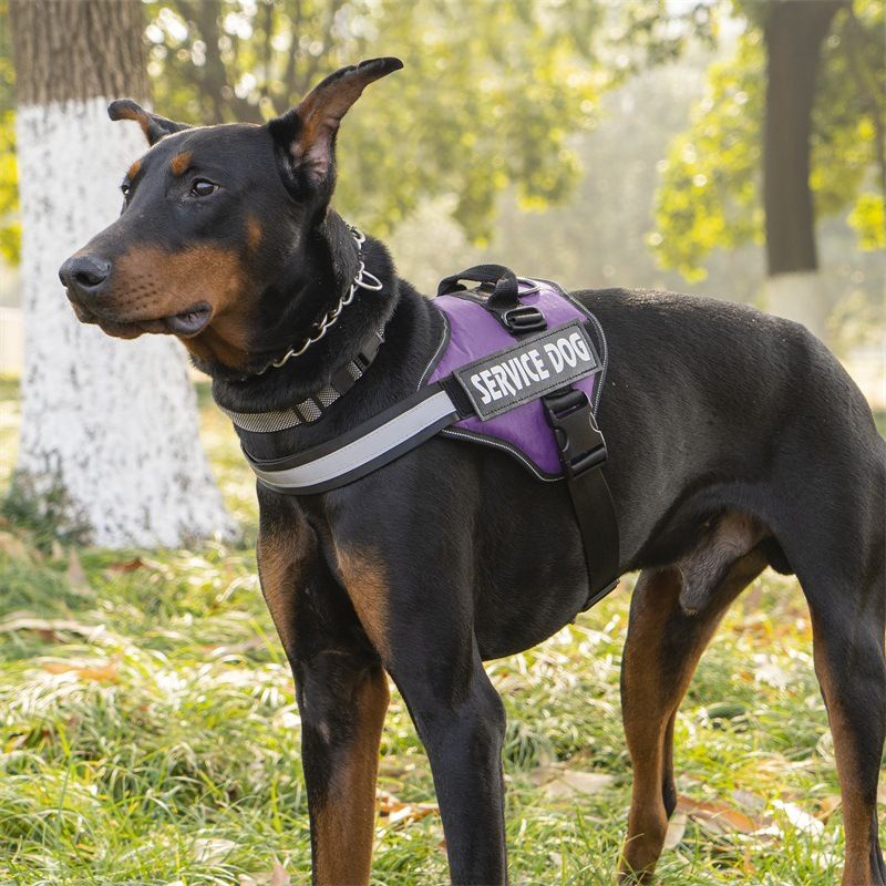 Guinzaglio per cani in pelle PU riflettente con imbracatura anti-groviglio e design retrattile per cani_voghion.com