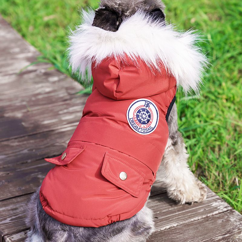 Haustierkleidung Warme, verdickte Herbst-Winter-Weste für zweibeinige Teddy-Bichon-Pommersche-Schnauzer-Kleinhunde_voghion.com