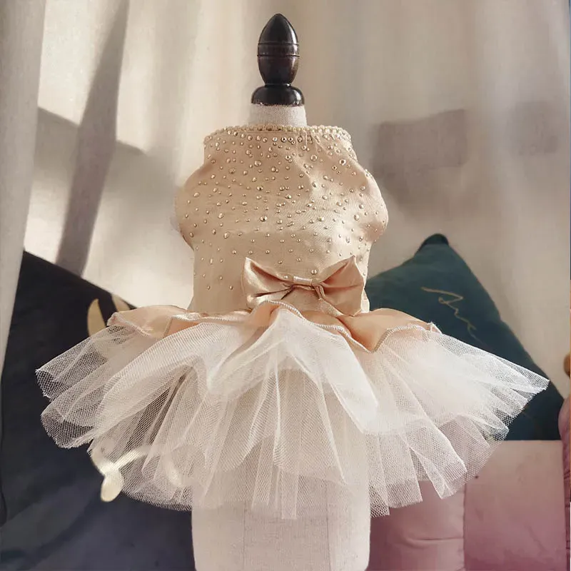 Summer Dress For Dogs, Cats, Lace Pet Chihuahua, Tulle Skirt, Cat Princess, Cute Puppy Clothing, Dog Accessories By PawParty Store_voghion.com