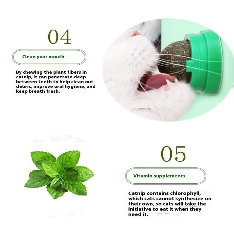 Natural Catnip Cat Wall Stick-on Ball Toy Scratchers Treats Healthy Natural Removes Balls Cat Pet Supplies 1PC_voghion.com
