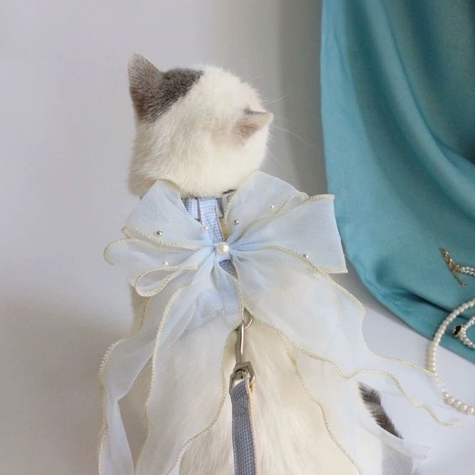 Conjunto de arnês de peito para cães e gatos pequenos anti-fuga com laço grande de fada feito à mão_voghion.com