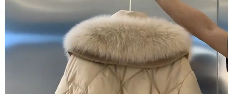 Fashionable Large Fur Collar Stand Up Collar, Waist Up, Slimming Down, Down For Women's 2023 Winter Wear, New Diamond_voghion.com