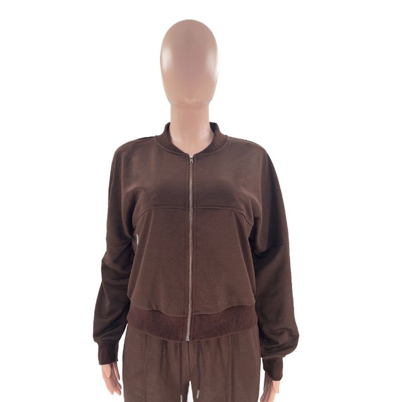 Women's Clothing Autumn and winter new solid color zipper cardigan sweatshirt women's fashion casual straight pants suit_voghion.com