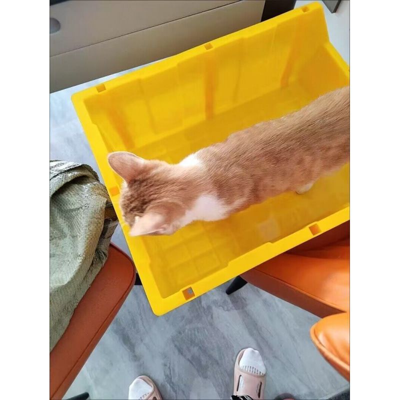 Caja de arena semicerrada, tipo abierto, inodoro extragrande, antisalpicaduras y a prueba de olores, suministros para gatos_voghion.com