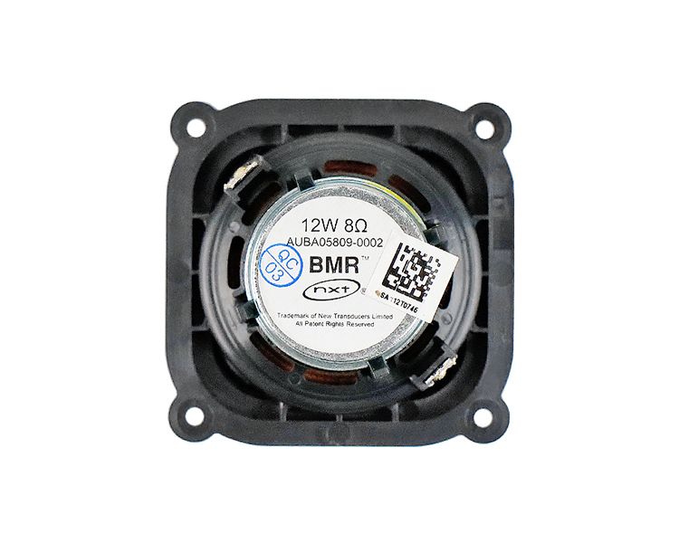 GHXAMP 2.5 İnç 65mm UK NXT BMR Tam Aralıklı Hoparlör Dengeli Mod Neodimyum 8OHM 12W Düz Titreşimli Havza Ultra İnce_voghion.com