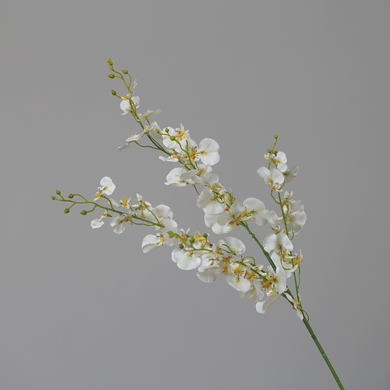 Phalaenopsis soggiorno da terra arte floreale oncidium composizione floreale decorazione domestica_voghion.com