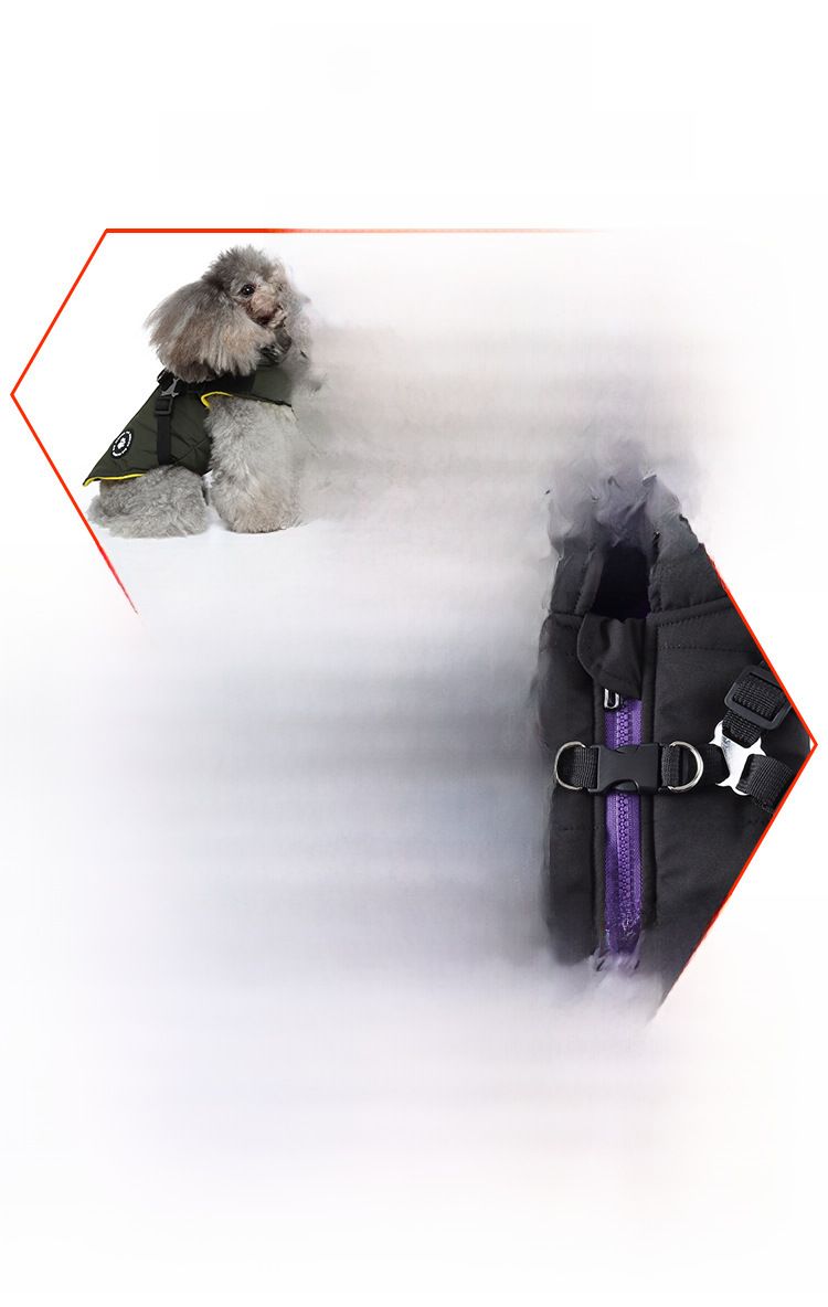 Kräiz-Grenz waarm verkafen Hond Këscht Riem Wanterjacket Koteng gepolstert Mantel Hausdéier Këscht zréck Hond Kleeder Zipper Déier Kleeder_voghion.com