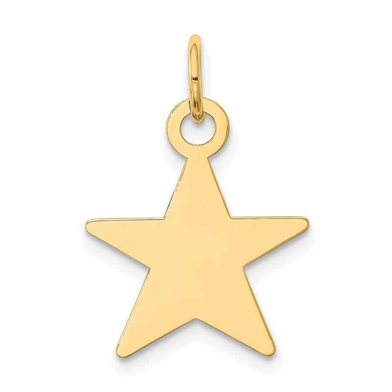 14K Star Disc Charm_voghion.com