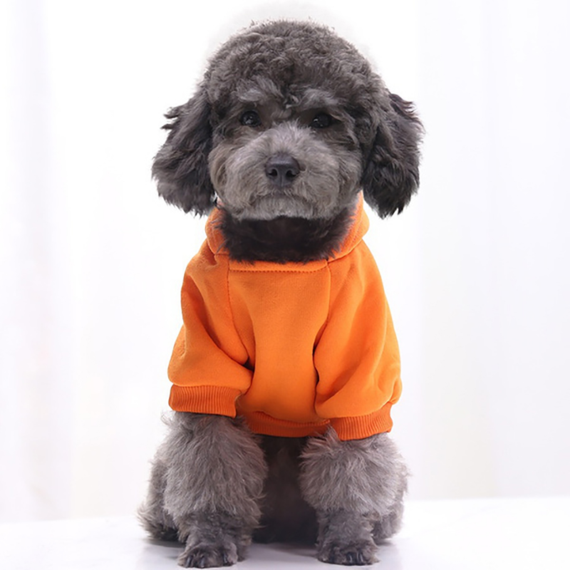 Puppy Pet Hooded Sweatshirt Autumn Winter Two-legged Pocket Cat Dog Clothes_voghion.com
