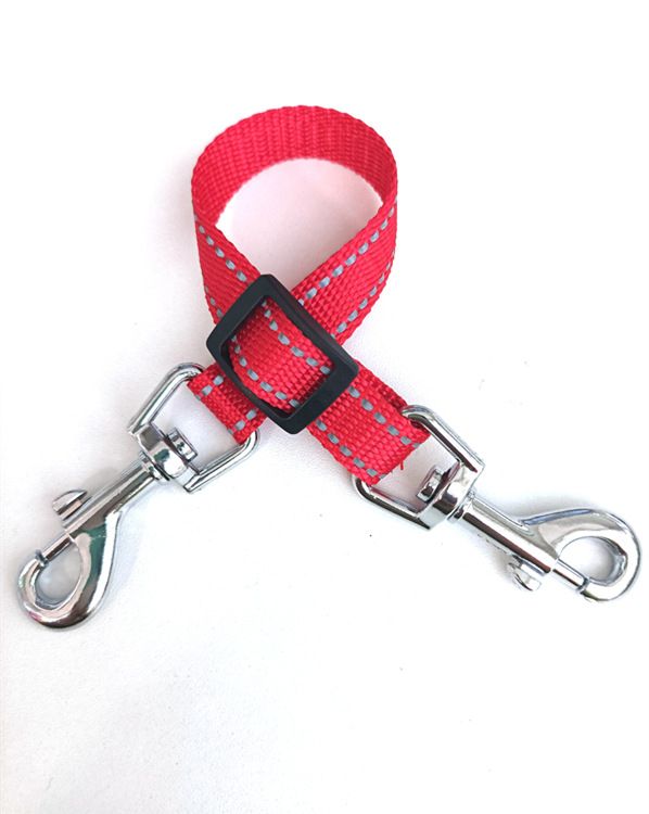 Extended Double Hook Night Glow Pet Leash High Brightness Reflective Strap_voghion.com