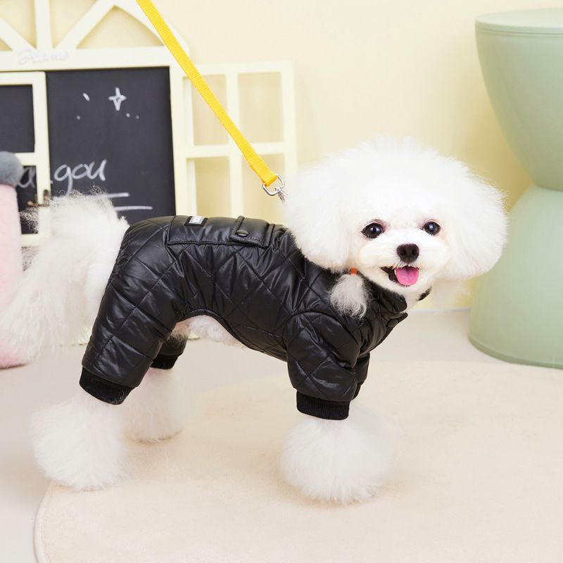 Abbigliamento per cani, cappotto per animali, impermeabile da neve, autunno e inverno, nuovo articolo 22, cappotto in cotone a quattro zampe di buona fortuna_voghion.com