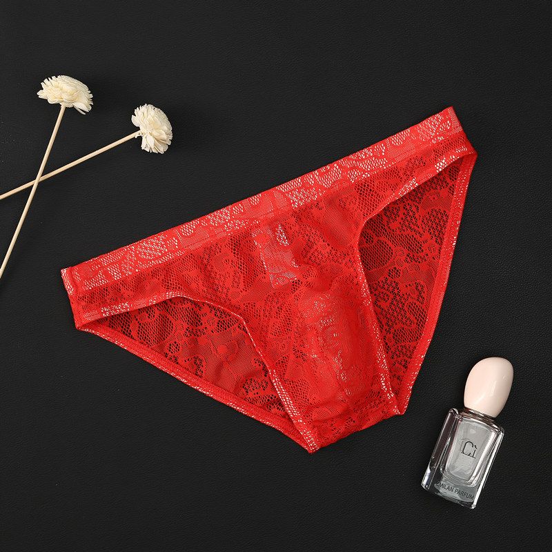 Herrenunterwäsche aus Spitze, transparente Unterwäsche mit niedriger Taille, sexy, atmungsaktive Slips aus Eisseide_voghion.com